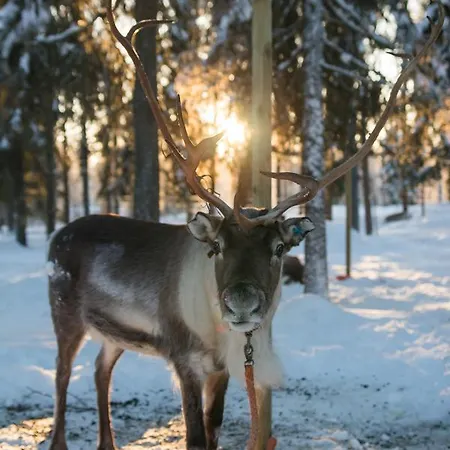 Ξενοδοχείο Yllaes 2*