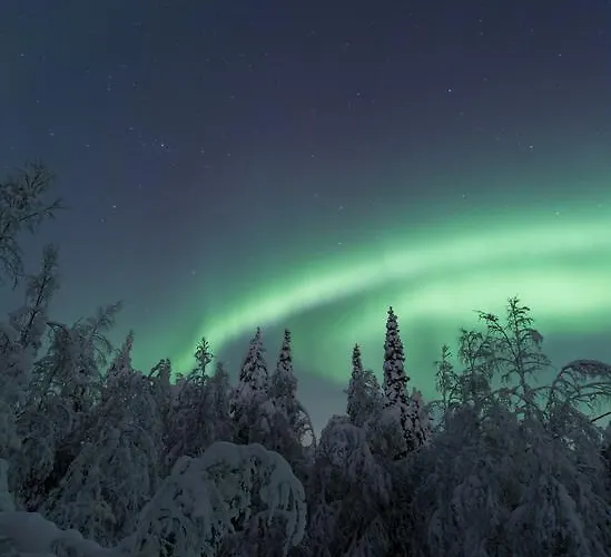 Yllaes فندق Ylläsjärvi