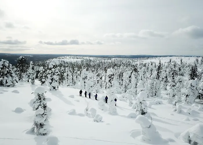 فندق Yllaes Ylläsjärvi